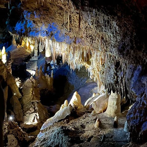 Grotte du Scorpion