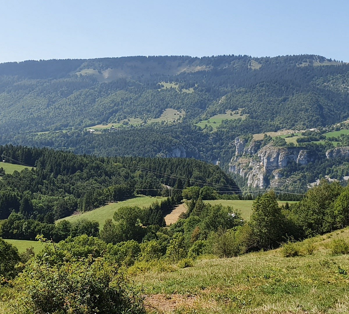 Colline des Mélèzes