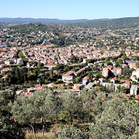 Mont Roux