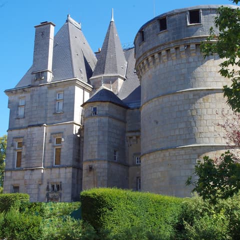 Chateau de la Saurine