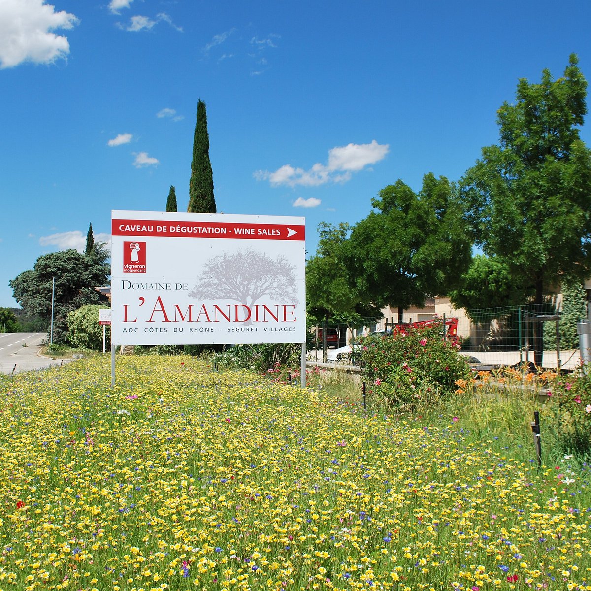 Domaine de l'Amaurigue