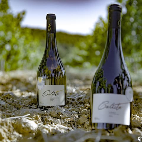 Coteaux et Fourchettes