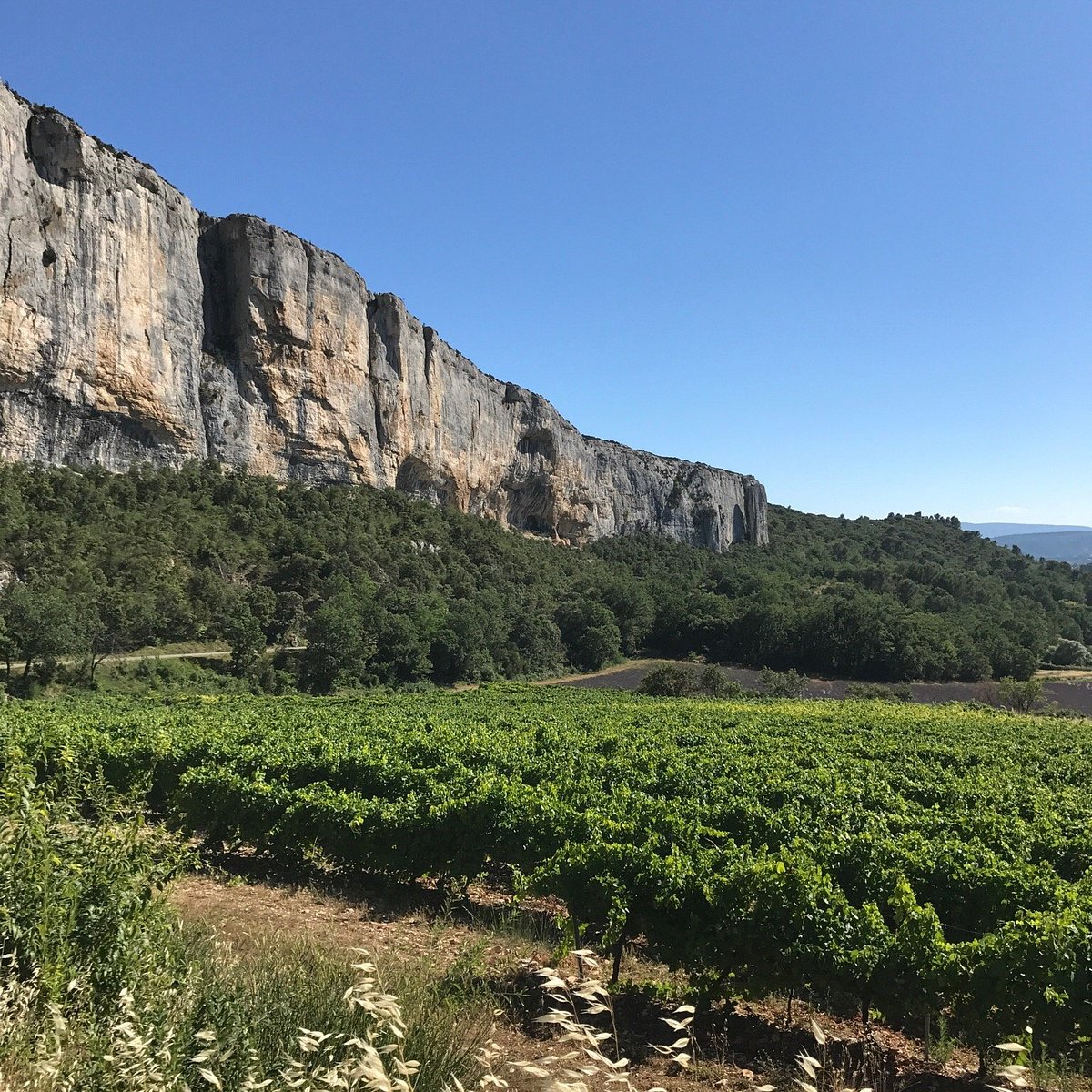 L'Estellan