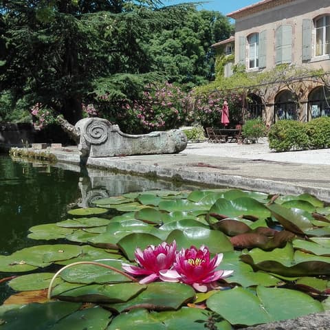 Chateau Saint-Esteve D'Uchaux