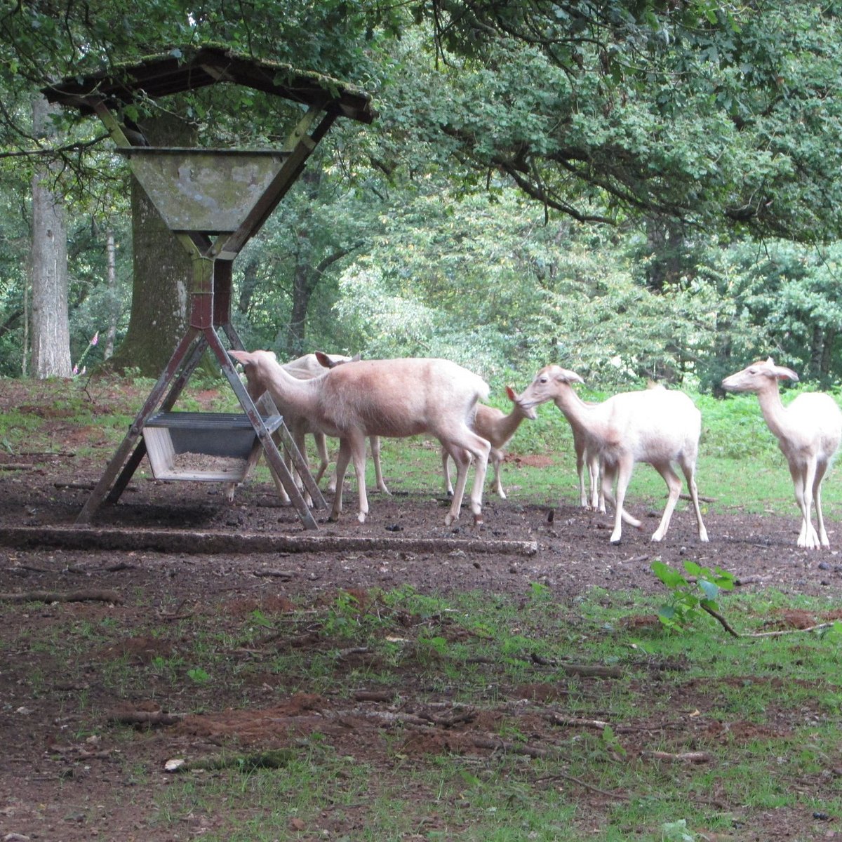 Parc Animalier Ginasservis
