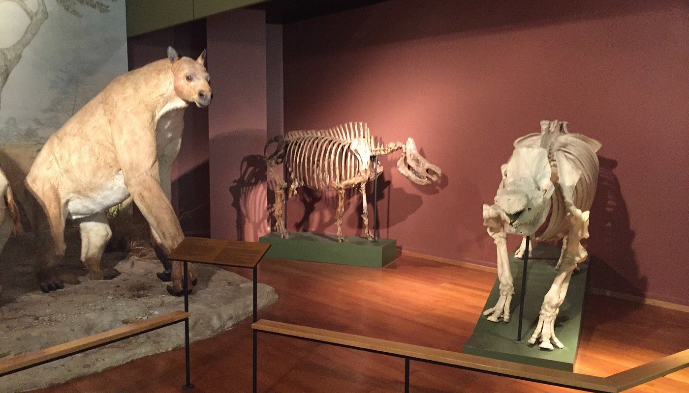 Muséum Nat Histoire Natur