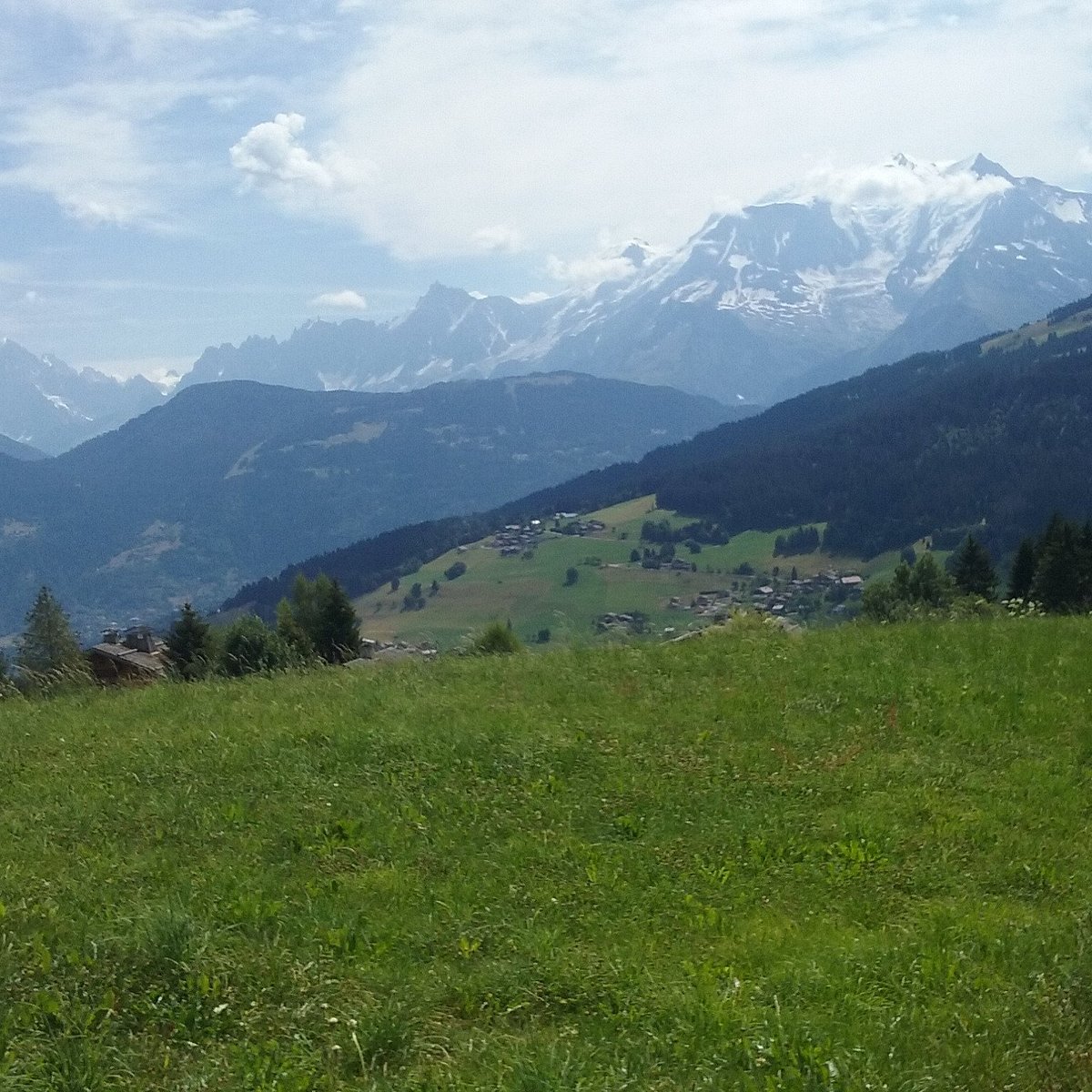 Le Campagnol
