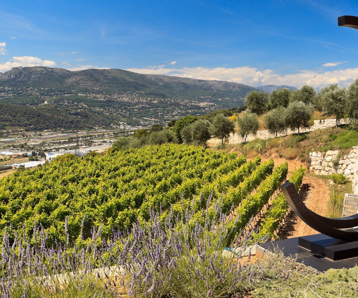 Wine Tasting in Nice French Riviera