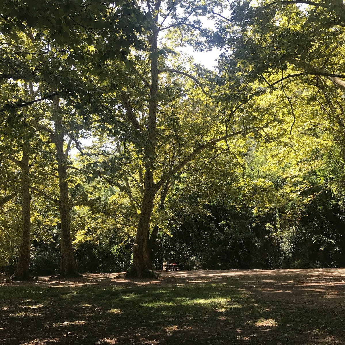 La pause nature