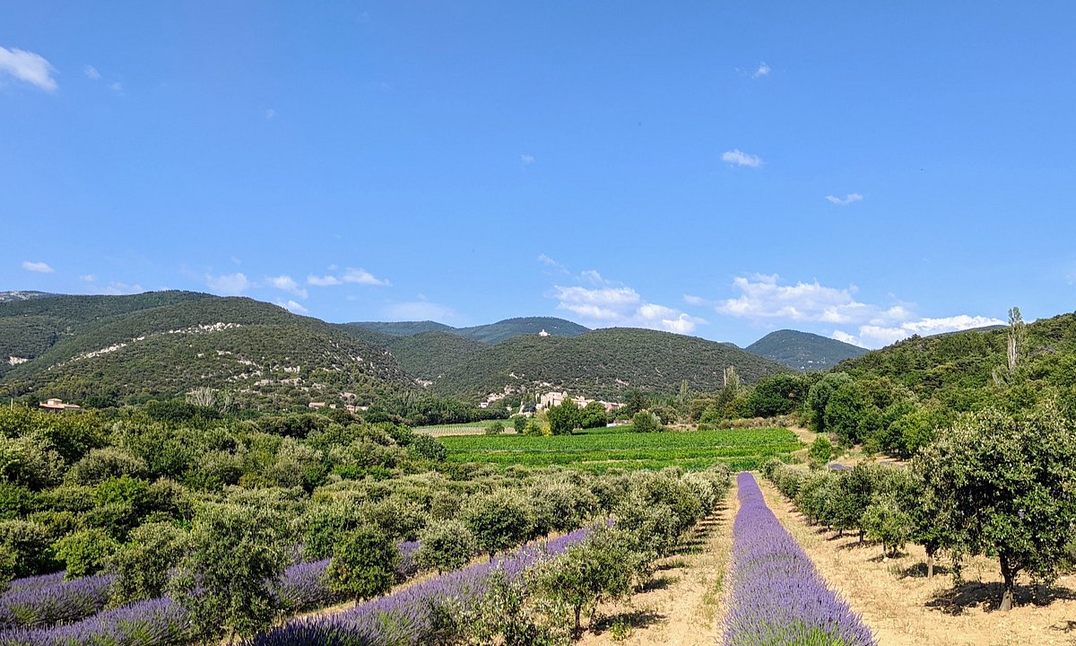 Domaine Au Cœur Des Vignes