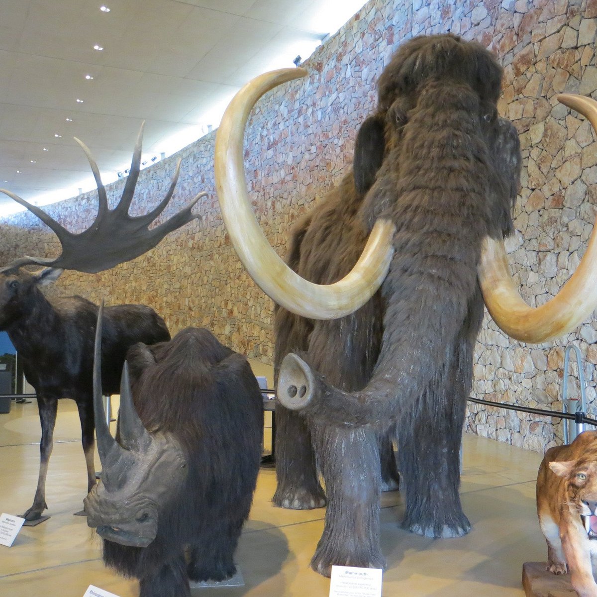 Musee de la Prehistoire Quinson