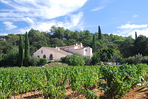 Le Clos des Vignes