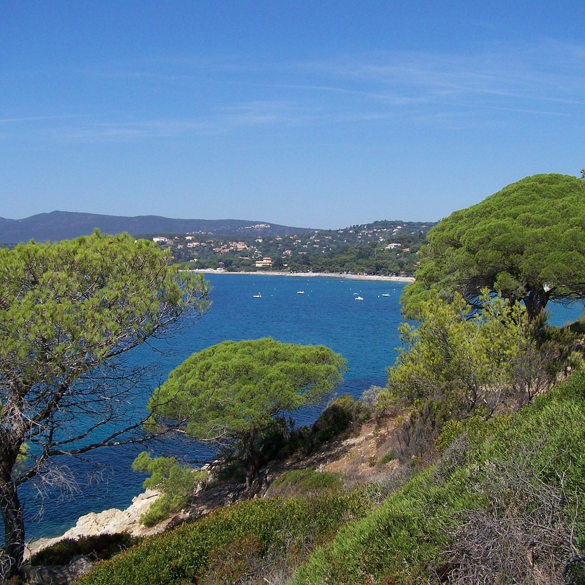 Gigaro