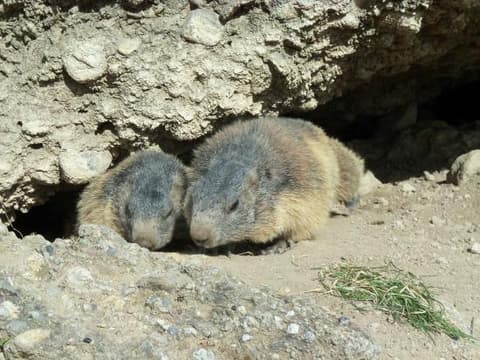 Eygliers Gare Sentier Des Marmottes