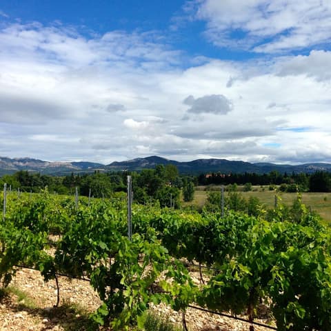 Domaine de Marotte