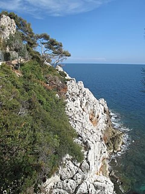 La Litote