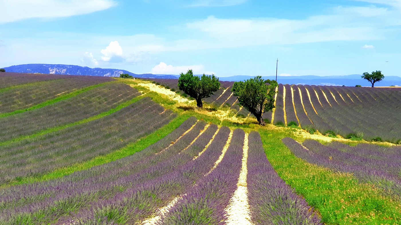 Chez Dédé Valensole