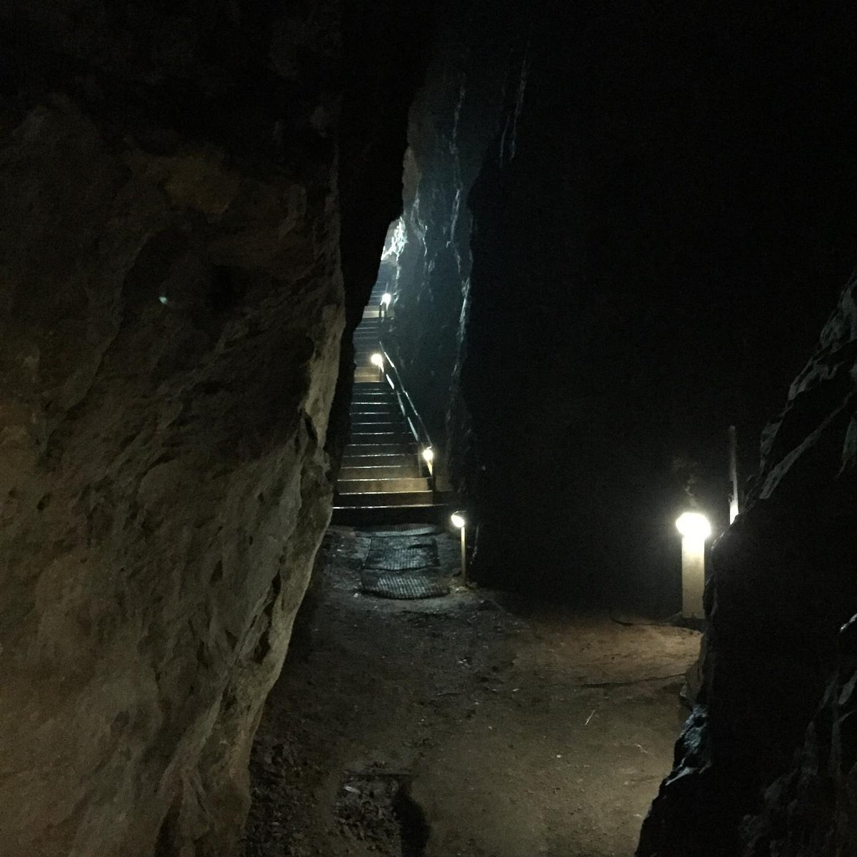 La Cave des Chartreux