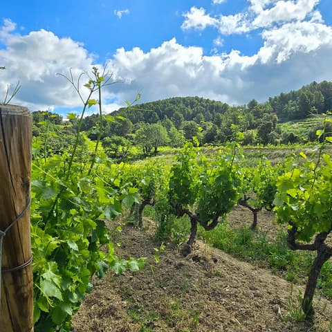 Domaine du Loou