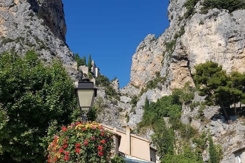 Les Marronniers