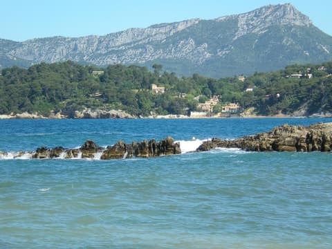 L'Oursinado