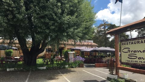 Le Grand Saule