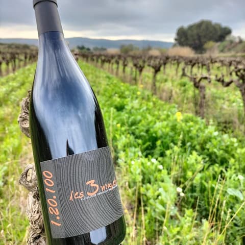 Domaine Le Jas des Oliviers