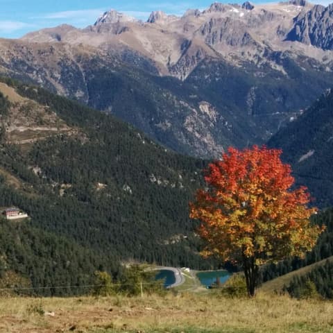 PO de Valdeblore