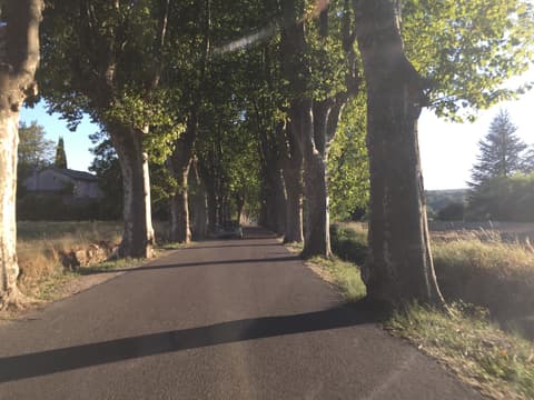 Jardins des simples et des plantes villageoises
