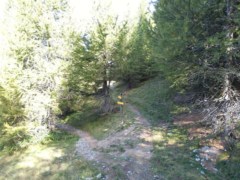 Lac Saint-Pierre