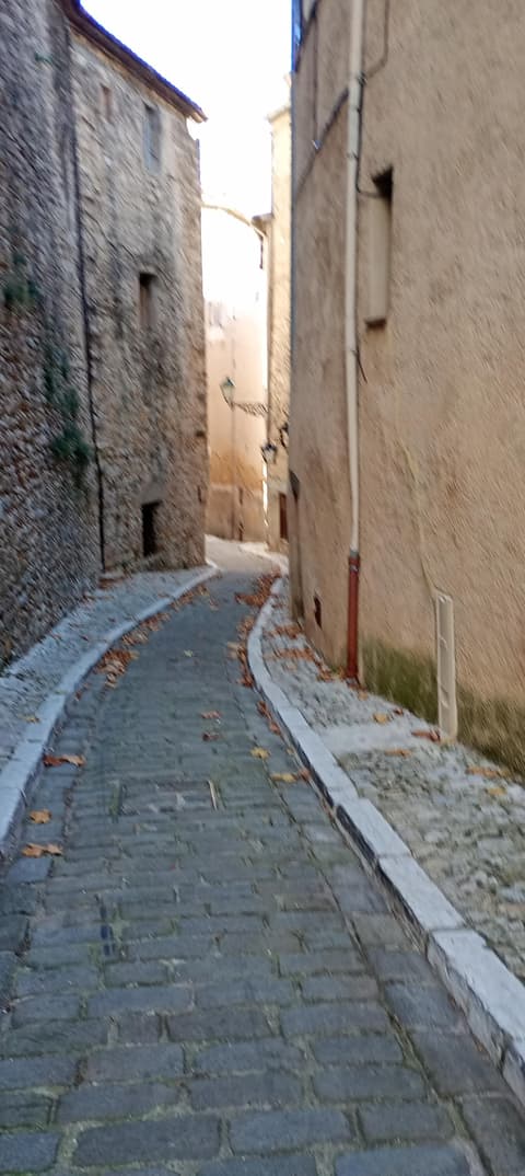 Porte Sarrazine