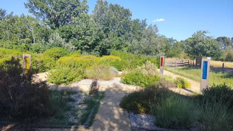 Jardin méditerranéen