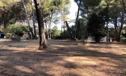 Équiclub et Poney Club du Brusc