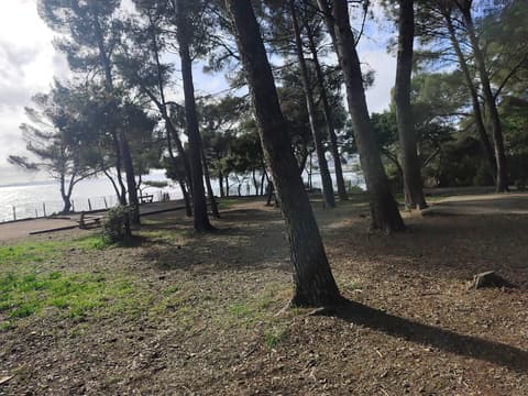 Hot spot pour pique-niquer aux Issambres
