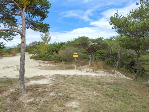 Plage des Tremouilles