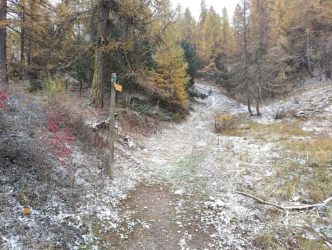 Lac des Charbonnières