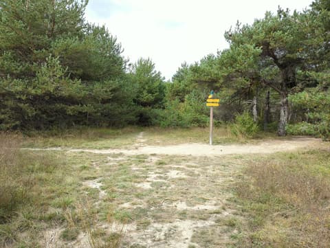 Plage des Trémouilles - Chanteloube