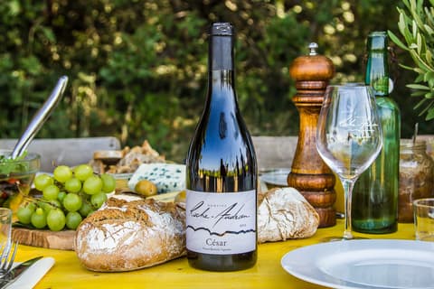 Domaine Roche Audran