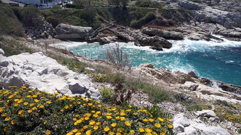 Boulevard de la Calanque de Samena