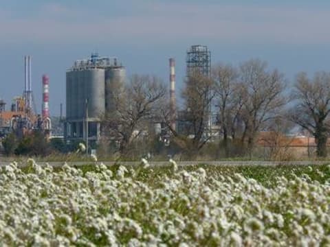 Berre l'Etang : la randonnée des amis