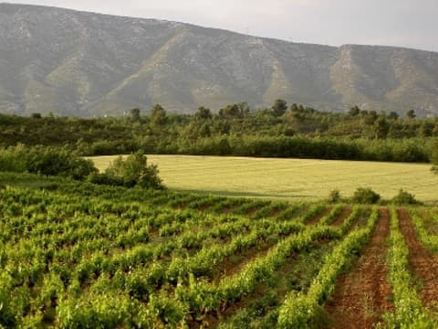 Domaine de Mauvan
