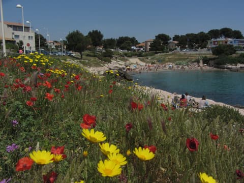 Plage de Carro