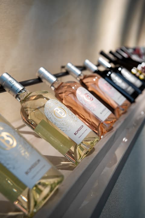 Domaine - Château Bonisson