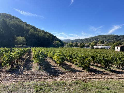 Les Vignerons du Garlaban - Auriol