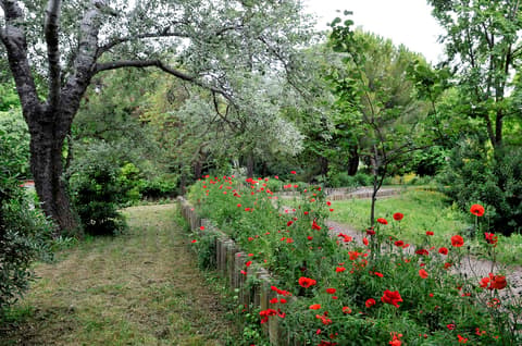 Parc central de Bonneveine