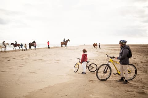 La Camargue à Vélo : 6 Couleurs gardiannes, couleurs gitanes