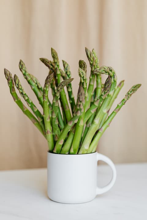 Les asperges vertes