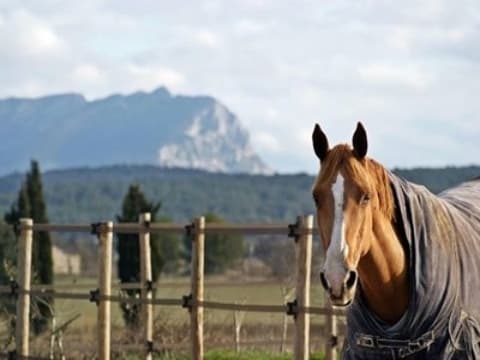 Les écuries des quatre tours