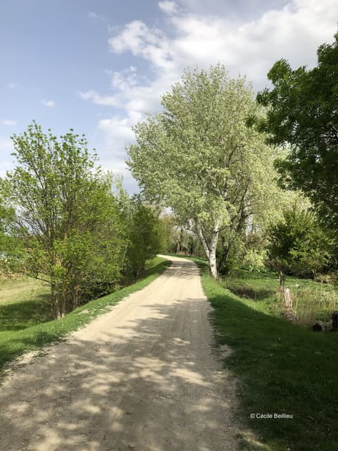 Lac du Barreau