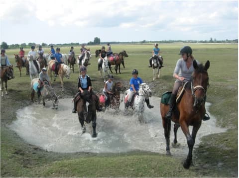Association du Poney Club